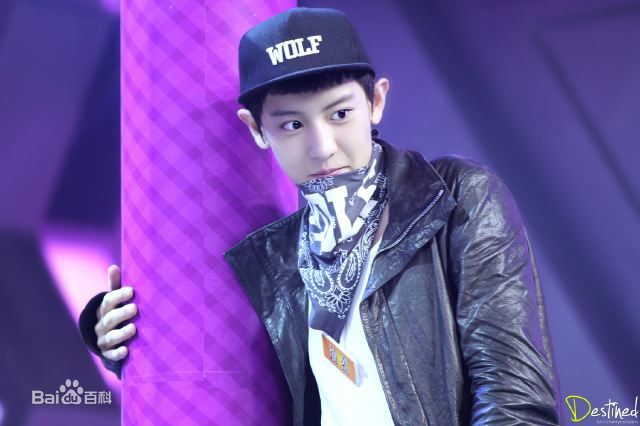 朴灿烈(（韩文名）、Park Chanyeol（官方艺名）)综艺节目性感图片图集