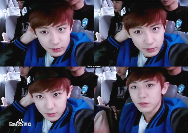 朴灿烈(（韩文名）、Park Chanyeol（官方艺名）)综艺节目性感图片图集