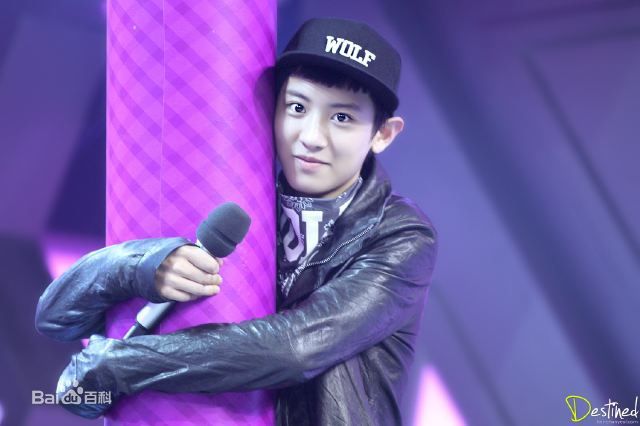 朴灿烈(（韩文名）、Park Chanyeol（官方艺名）)综艺节目性感图片图集