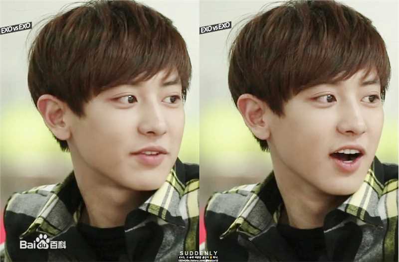 朴灿烈(（韩文名）、Park Chanyeol（官方艺名）)综艺节目性感图片图集