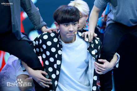 朴灿烈(（韩文名）、Park Chanyeol（官方艺名）)综艺节目性感图片图集