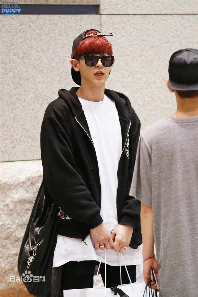 朴灿烈(（韩文名）、Park Chanyeol（官方艺名）)饭拍素颜照相册