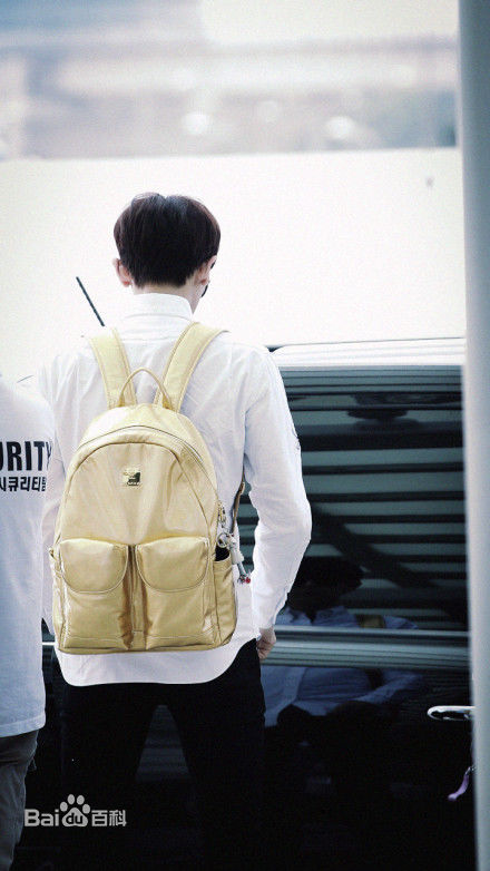 朴灿烈(（韩文名）、Park Chanyeol（官方艺名）)饭拍素颜照相册