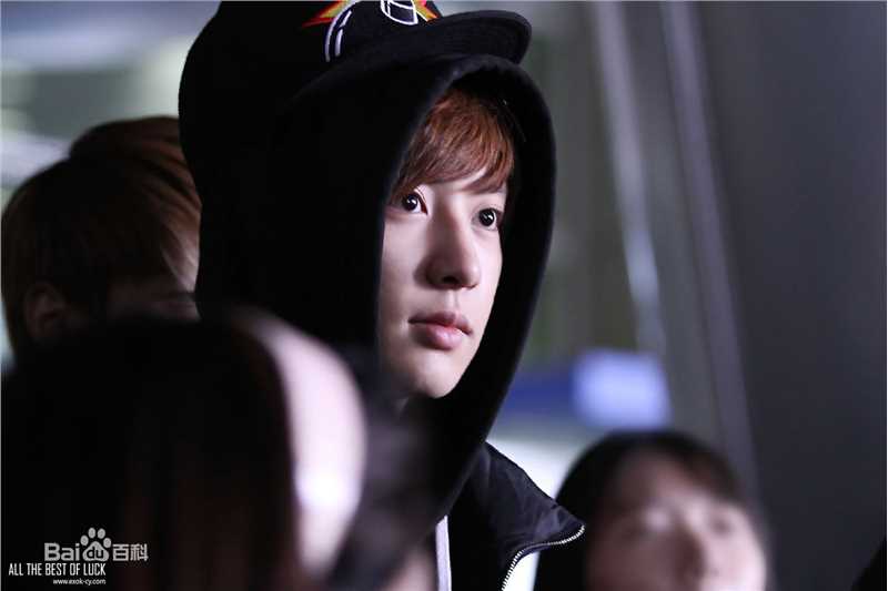 朴灿烈(（韩文名）、Park Chanyeol（官方艺名）)饭拍素颜照相册