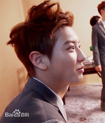 朴灿烈(（韩文名）、Park Chanyeol（官方艺名）)动态图图片图集