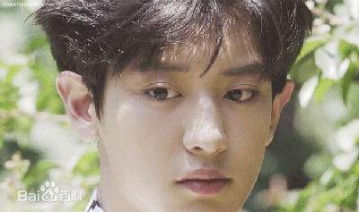 朴灿烈(（韩文名）、Park Chanyeol（官方艺名）)动态图图片图集