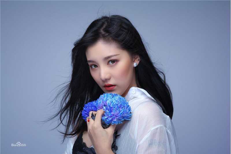 陆翊(Change Lu)剧照