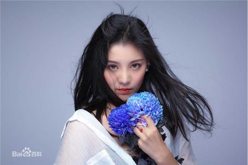 陆翊(Change Lu)剧照