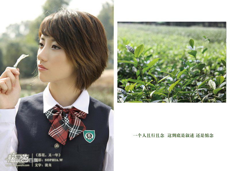 叶思齐(Wendy)精选图册