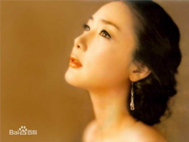 崔智友(Choi Ji-woo ，)图册2素颜照壁纸