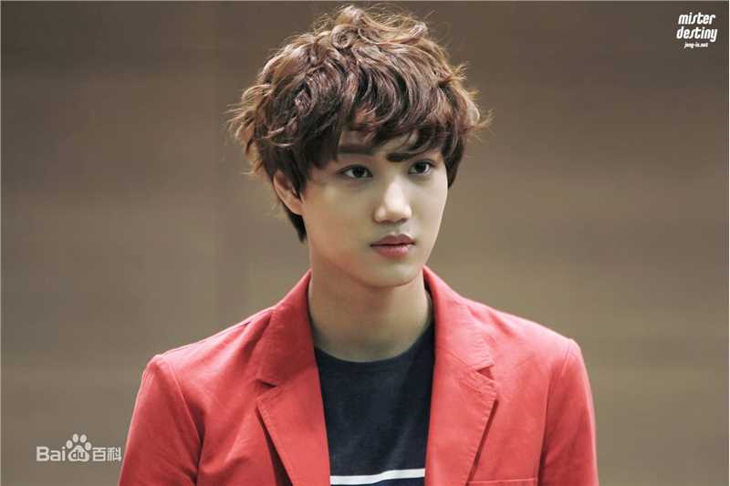 金钟仁(KAI（官方艺名）， ， （韩文名），Kim Jong In)饭拍壁纸壁纸