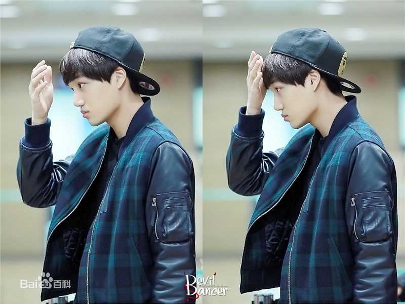 金钟仁(KAI（官方艺名）， ， （韩文名），Kim Jong In)饭拍壁纸壁纸