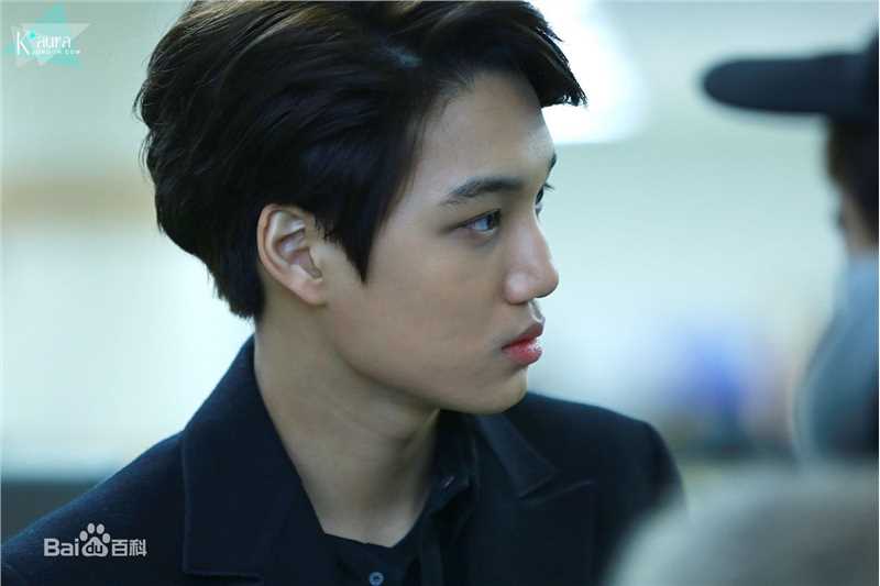 金钟仁(KAI（官方艺名）， ， （韩文名），Kim Jong In)饭拍壁纸壁纸