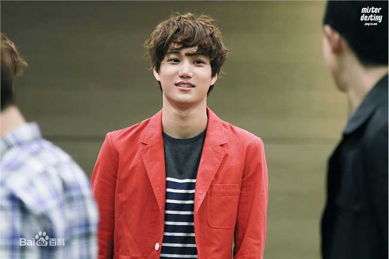 金钟仁(KAI（官方艺名）， ， （韩文名），Kim Jong In)饭拍壁纸壁纸