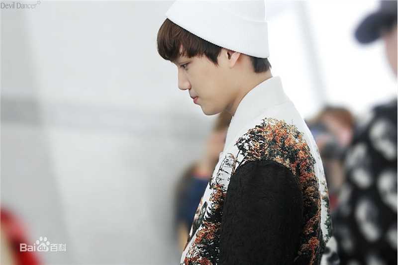 金钟仁(KAI（官方艺名）， ， （韩文名），Kim Jong In)饭拍壁纸壁纸