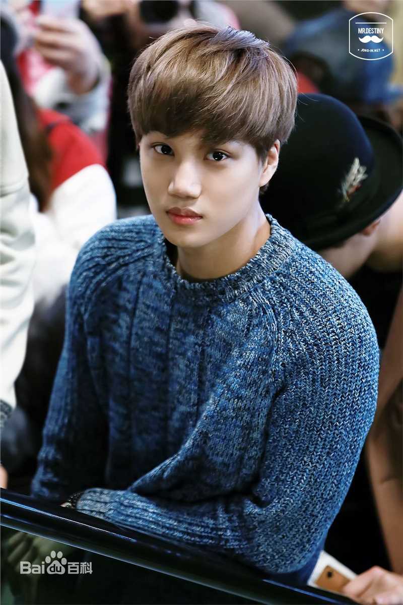 金钟仁(KAI（官方艺名）， ， （韩文名），Kim Jong In)饭拍壁纸壁纸