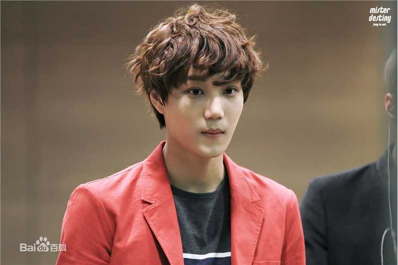 金钟仁(KAI（官方艺名）， ， （韩文名），Kim Jong In)饭拍壁纸壁纸