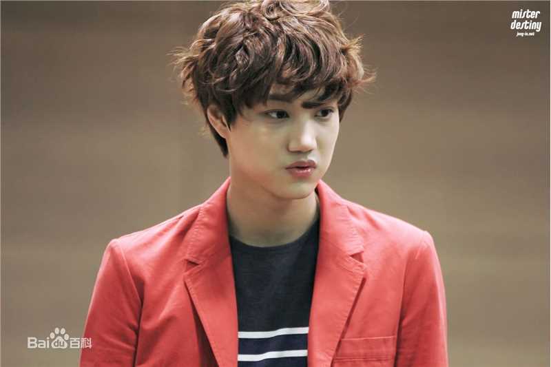 金钟仁(KAI（官方艺名）， ， （韩文名），Kim Jong In)饭拍壁纸壁纸