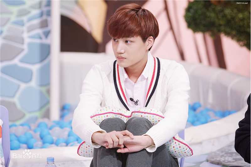 金钟仁(KAI（官方艺名）， ， （韩文名），Kim Jong In)节目照性感图片图集