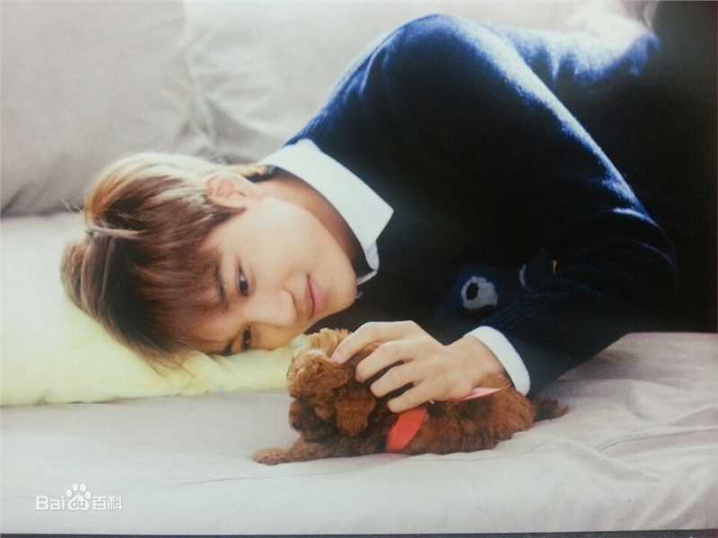 金钟仁(KAI（官方艺名）， ， （韩文名），Kim Jong In)最优质