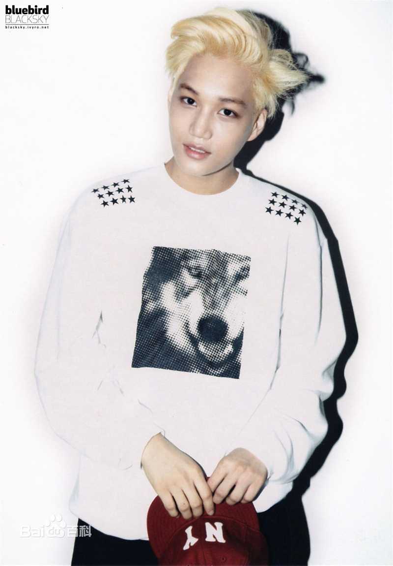 金钟仁(KAI（官方艺名）， ， （韩文名），Kim Jong In)最优质