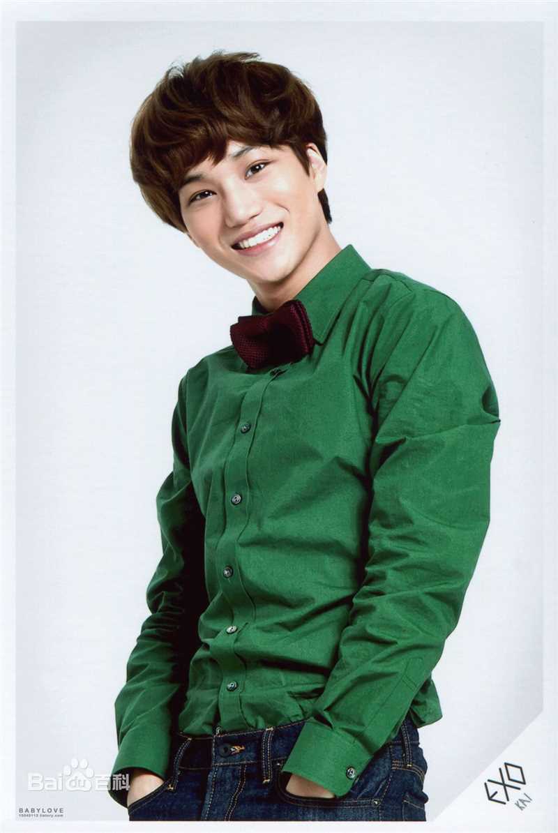 金钟仁(KAI（官方艺名）， ， （韩文名），Kim Jong In)最优质