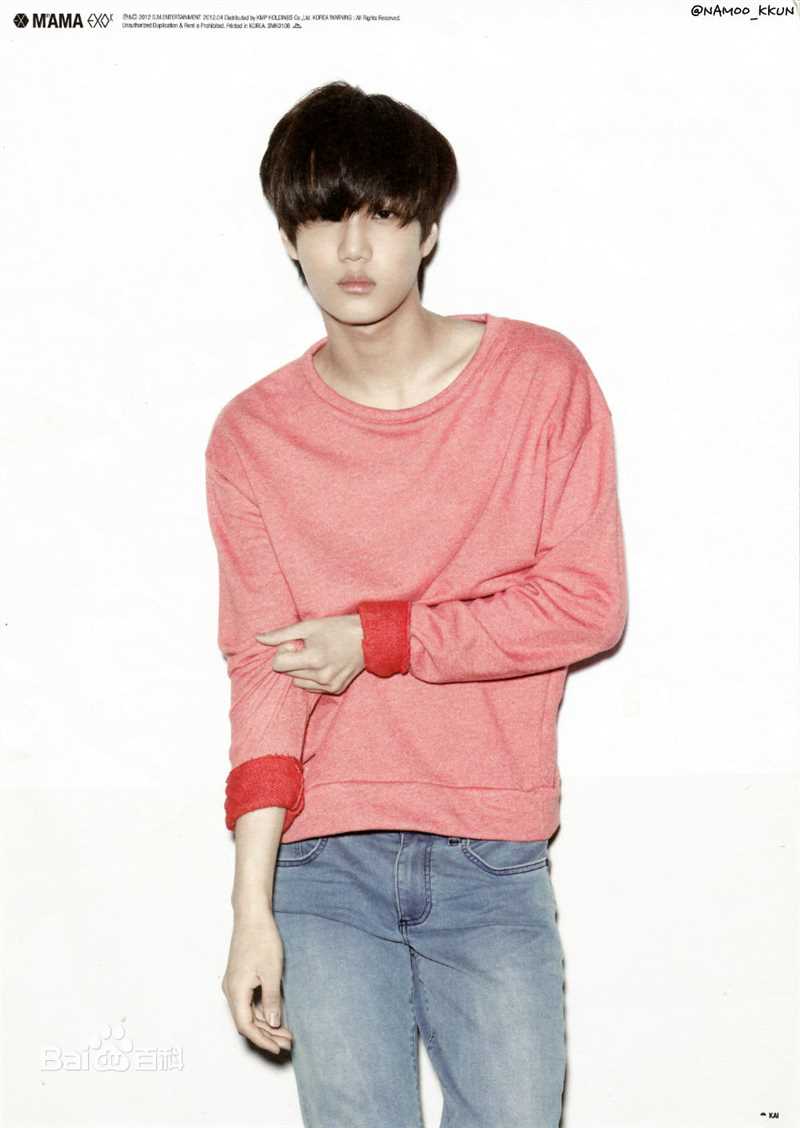 金钟仁(KAI（官方艺名）， ， （韩文名），Kim Jong In)最优质