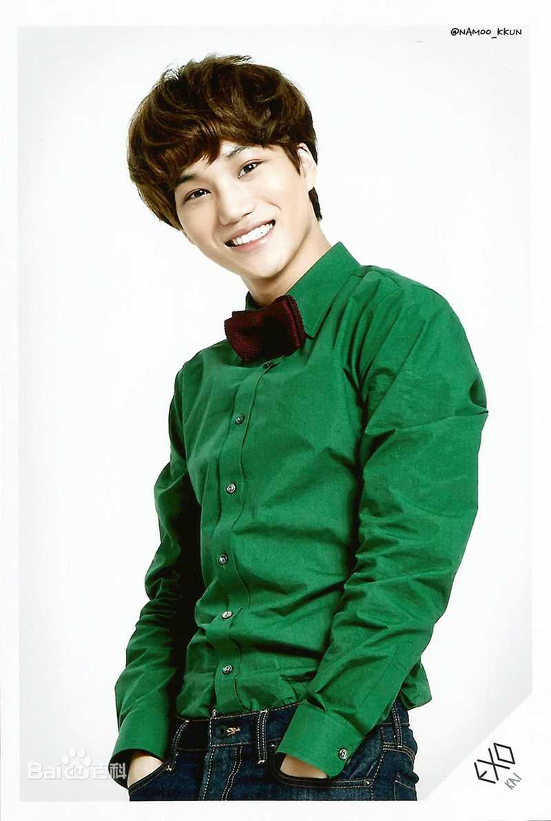 金钟仁(KAI（官方艺名）， ， （韩文名），Kim Jong In)最优质