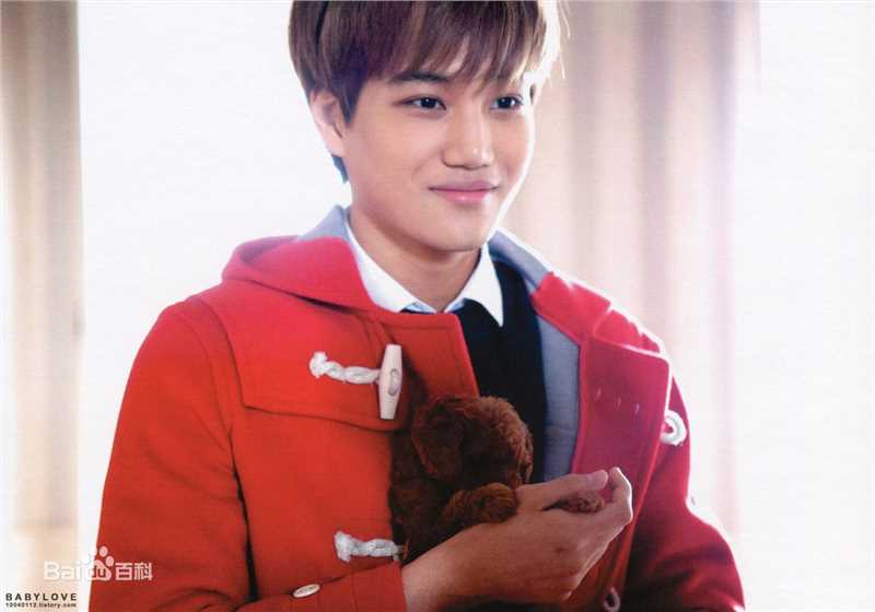 金钟仁(KAI（官方艺名）， ， （韩文名），Kim Jong In)最优质