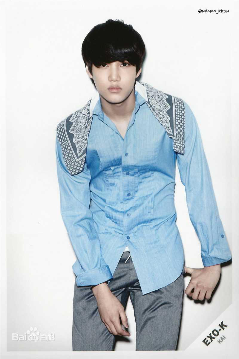 金钟仁(KAI（官方艺名）， ， （韩文名），Kim Jong In)最优质