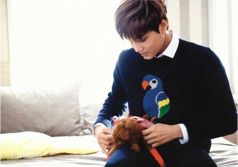 金钟仁(KAI（官方艺名）， ， （韩文名），Kim Jong In)最优质