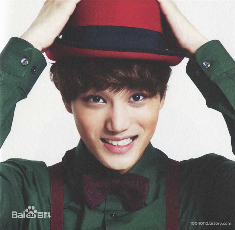 金钟仁(KAI（官方艺名）， ， （韩文名），Kim Jong In)最优质