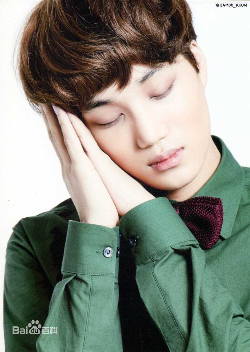 金钟仁(KAI（官方艺名）， ， （韩文名），Kim Jong In)最优质