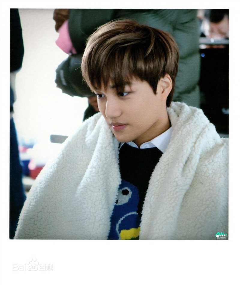 金钟仁(KAI（官方艺名）， ， （韩文名），Kim Jong In)最优质