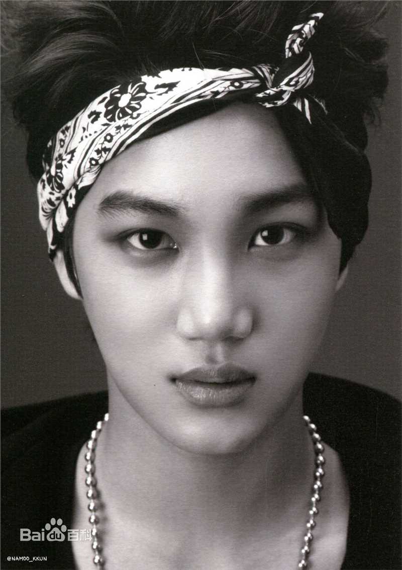 金钟仁(KAI（官方艺名）， ， （韩文名），Kim Jong In)最优质