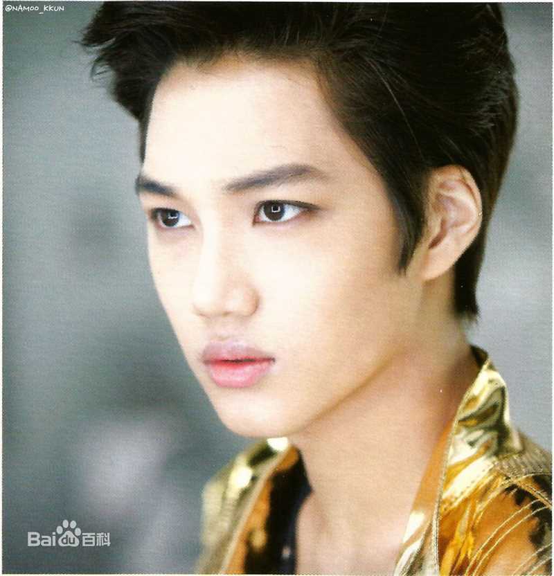 金钟仁(KAI（官方艺名）， ， （韩文名），Kim Jong In)最优质