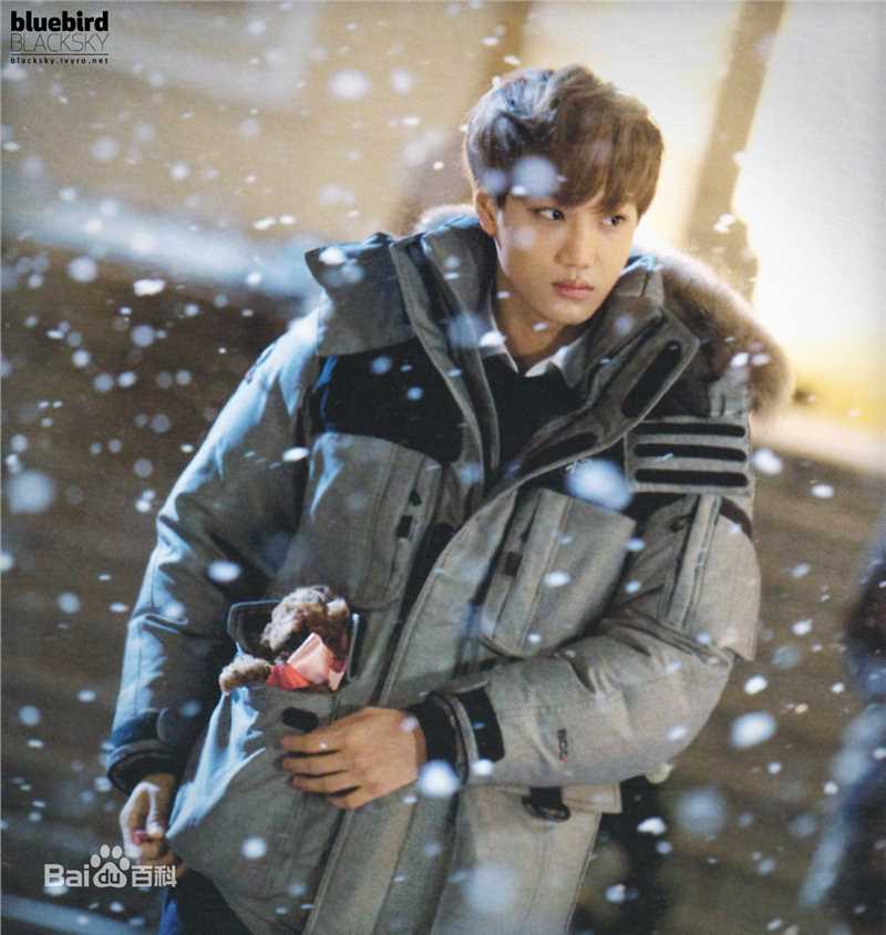 金钟仁(KAI（官方艺名）， ， （韩文名），Kim Jong In)最优质