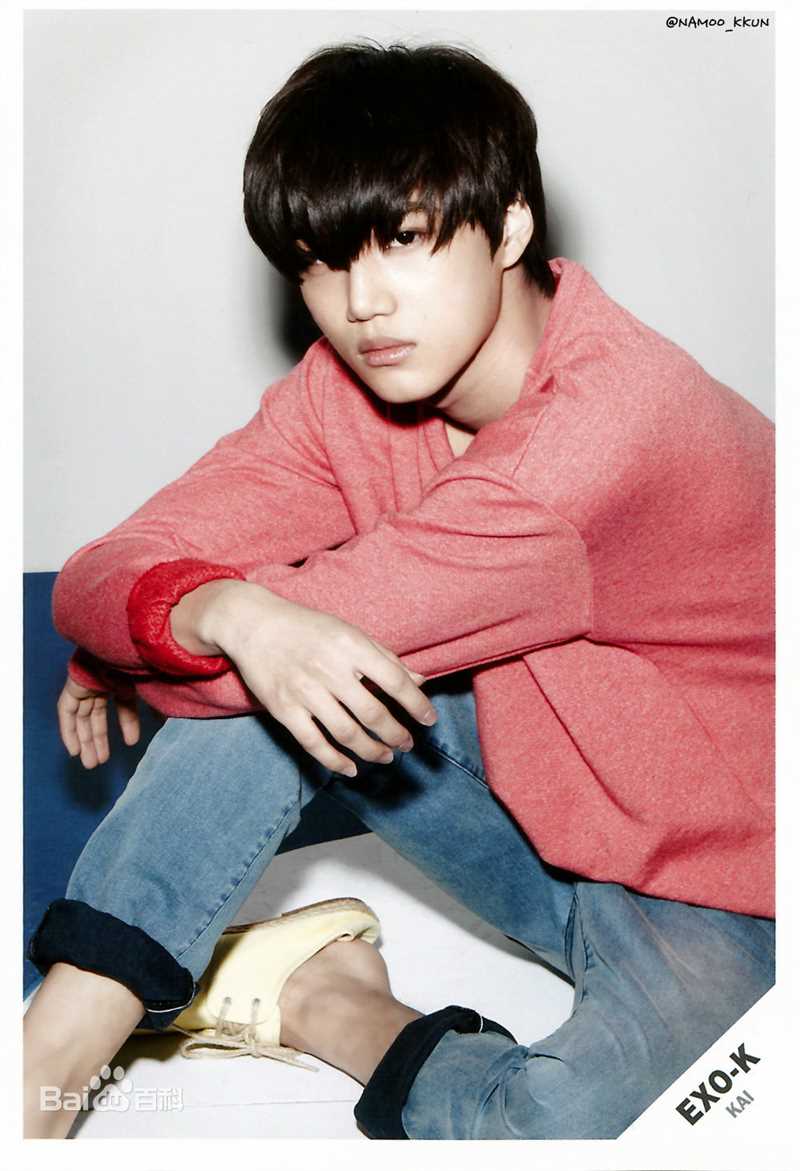 金钟仁(KAI（官方艺名）， ， （韩文名），Kim Jong In)最优质