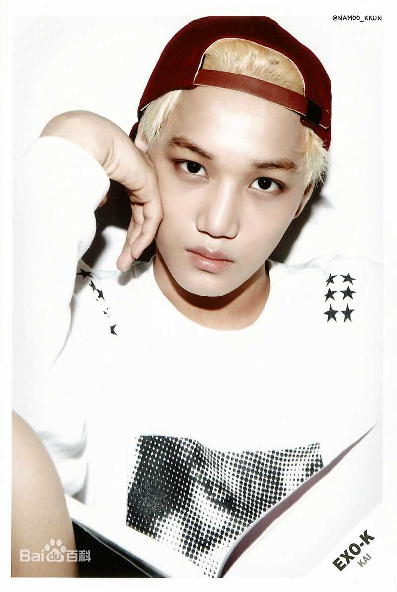 金钟仁(KAI（官方艺名）， ， （韩文名），Kim Jong In)最优质