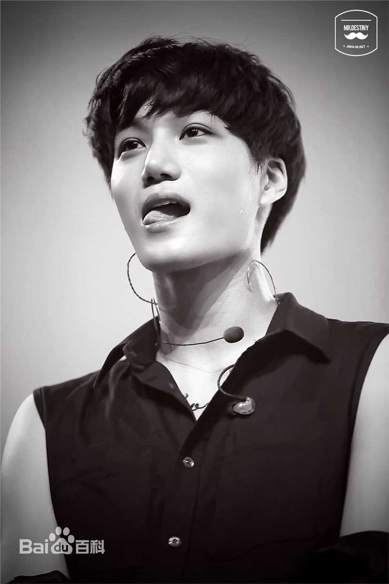 金钟仁(KAI（官方艺名）， ， （韩文名），Kim Jong In)舞台照素颜照相册