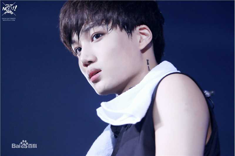 金钟仁(KAI（官方艺名）， ， （韩文名），Kim Jong In)舞台照素颜照相册