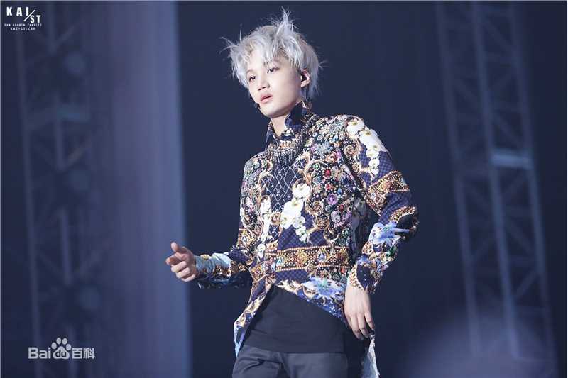 金钟仁(KAI（官方艺名）， ， （韩文名），Kim Jong In)舞台照素颜照相册