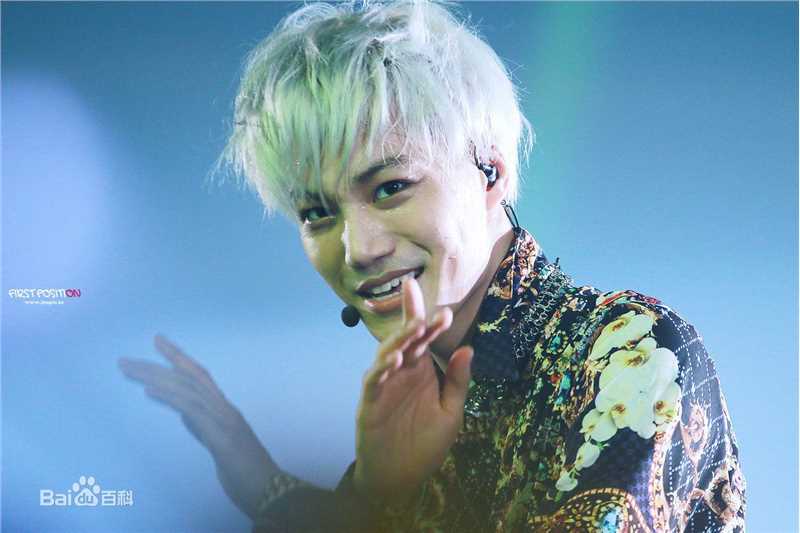 金钟仁(KAI（官方艺名）， ， （韩文名），Kim Jong In)舞台照素颜照相册