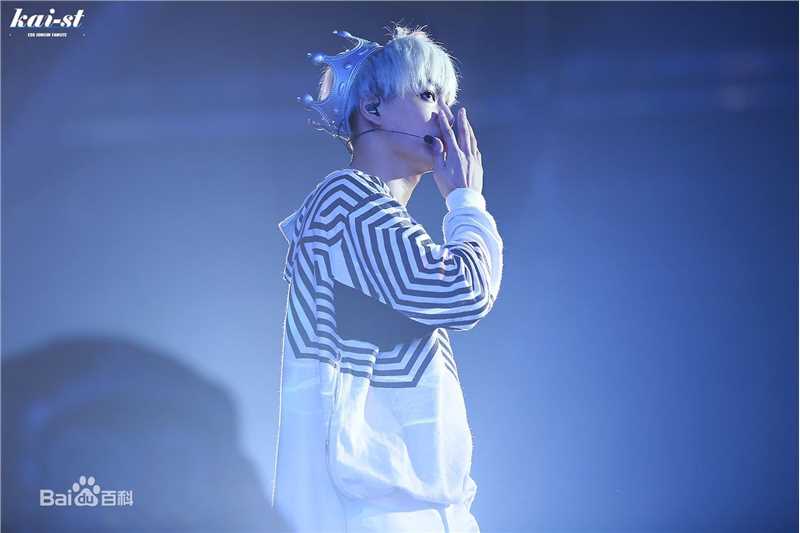 金钟仁(KAI（官方艺名）， ， （韩文名），Kim Jong In)舞台照素颜照相册