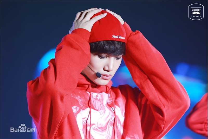 金钟仁(KAI（官方艺名）， ， （韩文名），Kim Jong In)舞台照素颜照相册