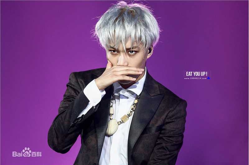 金钟仁(KAI（官方艺名）， ， （韩文名），Kim Jong In)舞台照素颜照相册