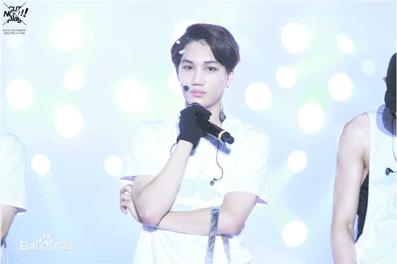 金钟仁(KAI（官方艺名）， ， （韩文名），Kim Jong In)舞台照素颜照相册