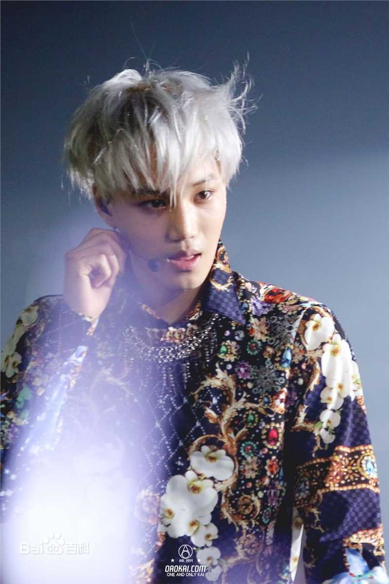 金钟仁(KAI（官方艺名）， ， （韩文名），Kim Jong In)舞台照素颜照相册