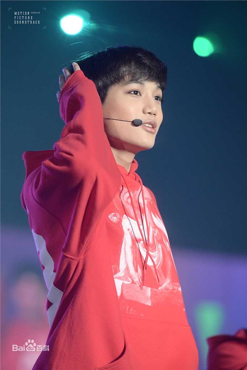 金钟仁(KAI（官方艺名）， ， （韩文名），Kim Jong In)舞台照素颜照相册