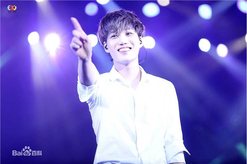 金钟仁(KAI（官方艺名）， ， （韩文名），Kim Jong In)舞台照素颜照相册